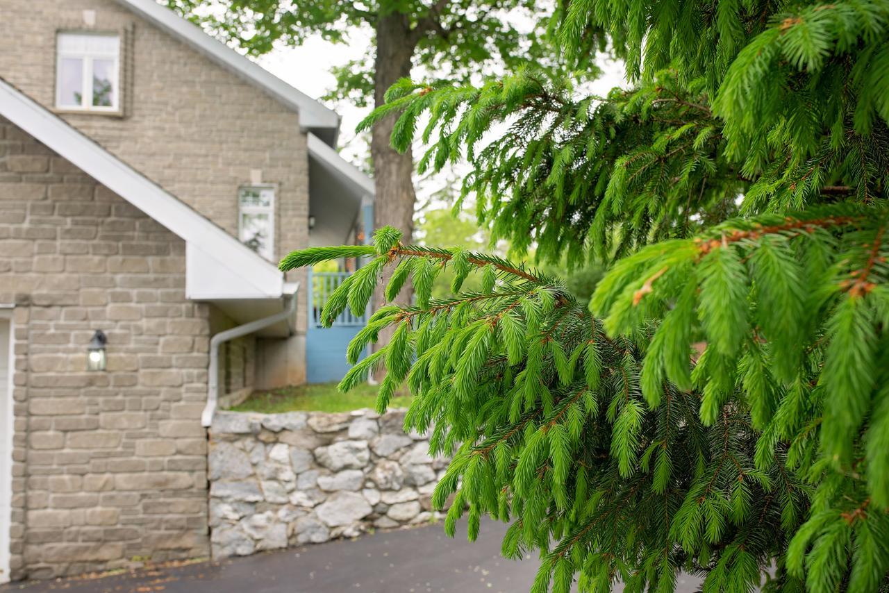 Rock Hill Bed & Breakfast Sharbot Lake Екстер'єр фото